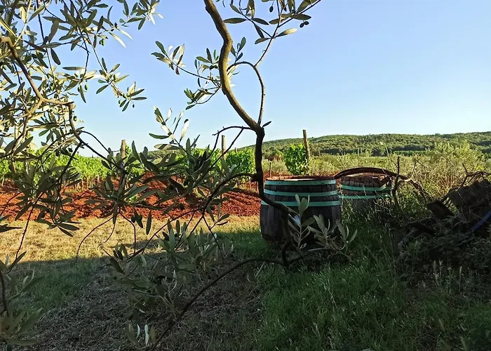 Casa Casale * Ρόβινι