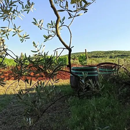 Casa Casale * Rovigno